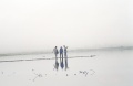 Ежики в тумане