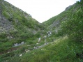 04-07-20-i10.jpg