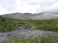 05-07-31-i10.jpg