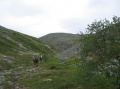 05-08-02-i10.jpg