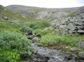 05-08-02-i16.jpg