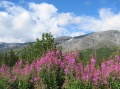 05-08-06-i06.jpg