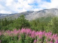 05-08-06-i07.jpg