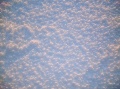 Файл=winter01.jpg
Объём=887KB
Размеры=1010x757
Дата=Фев 24, 2008 winter01.jpg