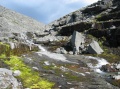 tn_04-07-24-i14.jpg