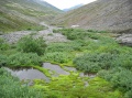 tn_05-07-26-i05.jpg