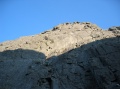 tn_06-08-01-i29.jpg