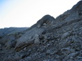 tn_06-08-09-i27.jpg