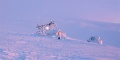 tn_winter11.jpg